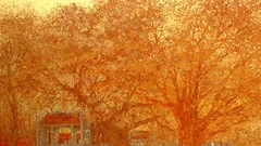 Lãng du vào “Miền cổ tích” của họa sĩ Nguyễn Quốc Huy