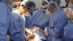 Việt Nam tự tin chia sẻ trực tuyến với các chuyên gia quốc tế về phẫu thuật tái tạo van tim