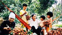 Miền quê trù phú bên dòng sông huyền thoại