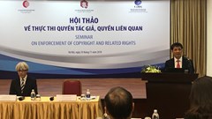Đối phó với vấn nạn lan tràn ấn bản vi phạm quyền tác giả như thế nào?