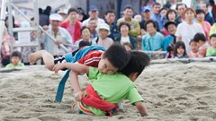 Liên Triều đưa đấu vật ssireum thành di sản chung