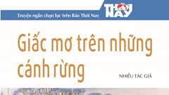 Giấc mơ trên những cánh đồng