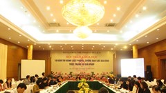 Bị bạo lực gia đình nhưng 20 năm vẫn... hoà giải