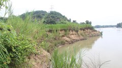 "Vô tư " khai thác cát trái phép trên sông Cái qua địa phận huyện Diên Khánh: Xã nói vẫn diễn ra, huyện bảo đã xử lý