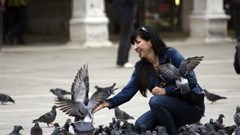 Những lệnh cấm "kỳ dị" trên thế giới