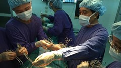 Cuộc hội ngộ của những trái tim