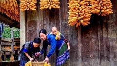 Cười ra nước mắt với BGK cuộc thi ảnh