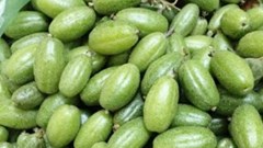 Loại quả xin được ở quê, người Hà thành vẫn phải mua giá cao hơn thịt bò