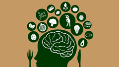 13 loại thực phẩm nuôi dưỡng não bộ đẩy lùi suy giảm trí nhớ