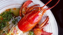 Phở tôm hùm, phở mực đốn tim thực khách tại Mỹ