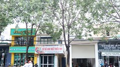 Thanh tra các cơ sở ngoại ngữ tại Ninh Thuận: Phát hiện hàng loạt sai phạm