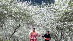 Chưa đi những điểm này, chưa thấy hết nét đẹp Tây Bắc mùa cuối đông