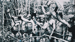 “Yết Kiêu” rừng Sác