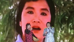 Cải lương xuống phố đi bộ Nguyễn Huệ