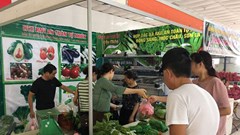 Giới thiệu và phân phối nông sản thực phẩm an toàn