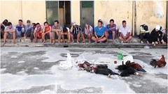 Bài viết “Con trai Phó Bí thư Tỉnh ủy An Giang tổ chức đá gà, đánh bạc” là không chính xác