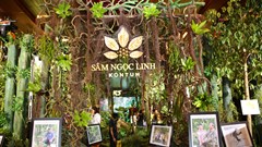 Chiêm ngưỡng “báu vật đại ngàn” tại Bảo tàng Lịch sử quốc gia