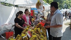 Làm sao thúc đẩy kết nối sản xuất với tiêu thụ nông sản Việt Nam?