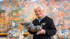 Nhà sử học Dương Trung Quốc trưng bày sưu tập “Lợn sung túc”