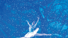 Những đôi chân... vì nghệ thuật