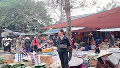 Hình như còn sót lại là...