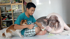 Chú heo “hạnh phúc” nhất Sài Gòn