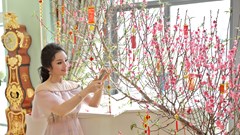 Tân Nhàn vừa dọn nhà đón Tết vừa hát “hit” của Mỹ Tâm