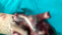 Ăn tất niên, cẩn trọng nổ bình ga mini