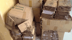 Tủ sách Thăng Long bị mối gặm: Giám đốc NXB Hà Nội nói gì?