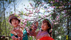 Thiên đường ngắm hoa đào đẹp chẳng kém Nhật Bản, Hàn Quốc là đây chứ đâu