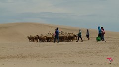 Tổng kết công tác nghệ thuật phim tài liệu hai năm 2017 – 2018:  Còn khó khăn trong phát hiện đề tài