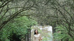 Sao Hàn lần đầu tham gia quảng bá văn hoá, du lịch Huế