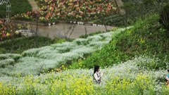 8.3 này, lên Fansipan để làm gì?