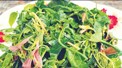 Đặc sản Cù Lao Chàm