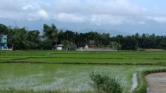 Tung tin đồn “chết người” khiến bất động sản tại Đà Nẵng “nhảy nhót”?