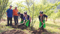 Vùng dược liệu trọng điểm tại Nghệ An đang bỏ ngỏ?