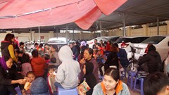 Vụ học sinh trường Mầm non bị nhiễm sán lợn: Có thể khởi tố vụ án, khởi tố bị can