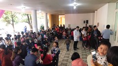 Người dân Bắc Ninh ùn ùn đi xét nghiệm sán lợn: Hệ thống vệ sinh dịch tễ đang ở đâu?