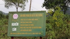 Buông lỏng quản lý, thiếu trách nhiệm dẫn đến nhiều vi phạm về đất đai tại Sóc Sơn