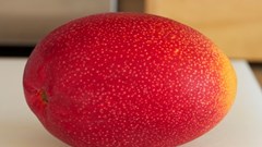 Sốt “trứng mặt trời đỏ” giá bằng cả tháng lương, mua vẫn không tiếc