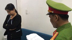 Đà Nẵng: Bắt Tổng Giám đốc các dự án "ma"