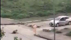 Người dân vô cảm hay pháp luật còn kẽ hở?