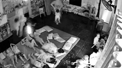 Quảng Ninh: Có dấu hiệu bạo hành trẻ em, tạm đình chỉ cơ sở mầm non Đồ Rê Mí