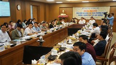 Có mấy chục văn bản chuyên đề nhưng BLHĐ vẫn gia tăng