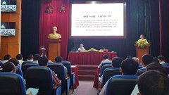 “Gỡ khó” cho công tác bảo quản, tu bổ, phục hồi di tích