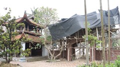 Quản lý tại địa phương còn quá lỏng lẻo