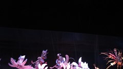 Mê đắm “Vũ điệu hoa quỳnh” của NSND Tất Lợi