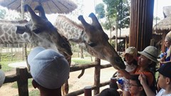 Phú Quốc – đến để thân thiện với động vật và tĩnh lặng ngắm hoàng hôn