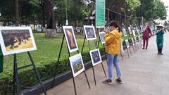 Liên hoan ảnh nghệ thuật khu vực Nam Trung Bộ - Tây Nguyên