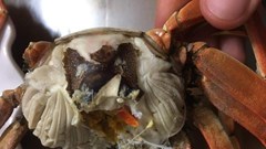 Kỳ lạ đặc sản ngon hết nấc cua Da ở vùng quê quan họ